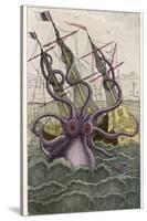 Kraken Attacks a Sailing Vessel-Denys De Montfort-Stretched Canvas