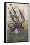 Kraken Attacks a Sailing Vessel-Denys De Montfort-Framed Stretched Canvas