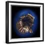 Krakow Old Town Main Market Square at Night, 360 Degree Miniplanet (Elements of This Image Furnishe-Ints-Framed Photographic Print