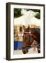 Krakow, Poland, Horse Drawn Carriages with Guides in Front of the St. Mary's Basilica-perszing1982-Framed Photographic Print