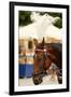 Krakow, Poland, Horse Drawn Carriages with Guides in Front of the St. Mary's Basilica-perszing1982-Framed Photographic Print