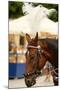 Krakow, Poland, Horse Drawn Carriages with Guides in Front of the St. Mary's Basilica-perszing1982-Mounted Photographic Print