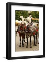 Krakow, Poland, Horse Drawn Carriages with Guides in Front of the St. Mary's Basilica-perszing1982-Framed Photographic Print