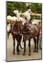 Krakow, Poland, Horse Drawn Carriages with Guides in Front of the St. Mary's Basilica-perszing1982-Mounted Photographic Print