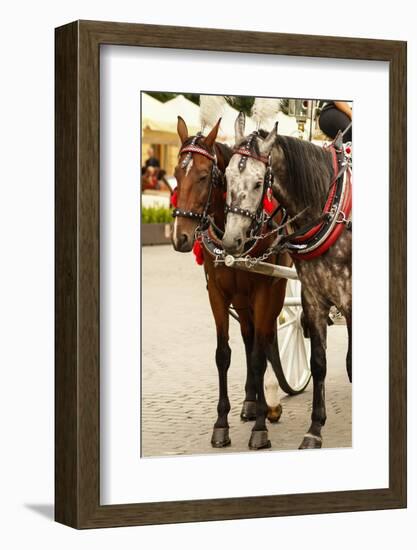 Krakow, Poland, Horse Drawn Carriages with Guides in Front of the St. Mary's Basilica-perszing1982-Framed Photographic Print