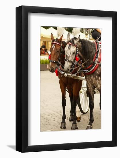 Krakow, Poland, Horse Drawn Carriages with Guides in Front of the St. Mary's Basilica-perszing1982-Framed Photographic Print