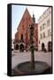 Krakow Student Monument-debstheleo-Framed Stretched Canvas