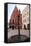 Krakow Student Monument-debstheleo-Framed Stretched Canvas