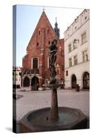 Krakow Student Monument-debstheleo-Stretched Canvas