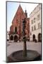 Krakow Student Monument-debstheleo-Mounted Photographic Print