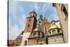 Krakow-Jorisvo-Stretched Canvas