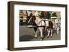 Krakow-Fotokris-Framed Photographic Print