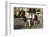 Krakow-Fotokris-Framed Photographic Print