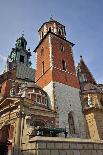 Wawel Cathedral-krasnevsky-Photographic Print