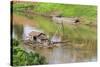 Kratie, Cambodia. Floating Vietnamese houseboat on the Mekong River in Kratie, Cambodia.-Yvette Cardozo-Stretched Canvas