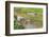 Kratie, Cambodia. Floating Vietnamese houseboat on the Mekong River in Kratie, Cambodia.-Yvette Cardozo-Framed Photographic Print