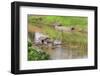 Kratie, Cambodia. Floating Vietnamese houseboat on the Mekong River in Kratie, Cambodia.-Yvette Cardozo-Framed Photographic Print