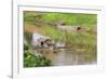 Kratie, Cambodia. Floating Vietnamese houseboat on the Mekong River in Kratie, Cambodia.-Yvette Cardozo-Framed Photographic Print