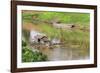 Kratie, Cambodia. Floating Vietnamese houseboat on the Mekong River in Kratie, Cambodia.-Yvette Cardozo-Framed Photographic Print