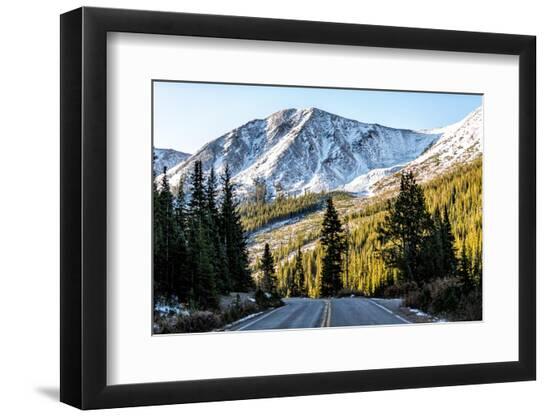 Premium Photographic Print, , large
