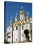 Kremlin, Annunciation Cathedral, Moscow, Russia-Steve Vidler-Stretched Canvas
