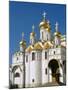 Kremlin, Annunciation Cathedral, Moscow, Russia-Steve Vidler-Mounted Photographic Print