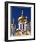 Kremlin, Annunciation Cathedral, Moscow, Russia-Steve Vidler-Framed Photographic Print