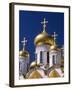 Kremlin, Annunciation Cathedral, Moscow, Russia-Steve Vidler-Framed Photographic Print