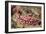 Krempf's Phyllidiopsis-Hal Beral-Framed Photographic Print