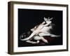 Kriemhild Throws Herself on Siegfried's Corpse, 1817-Henry Fuseli-Framed Giclee Print