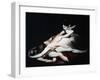 Kriemhild Throws Herself on Siegfried's Corpse, 1817-Henry Fuseli-Framed Giclee Print