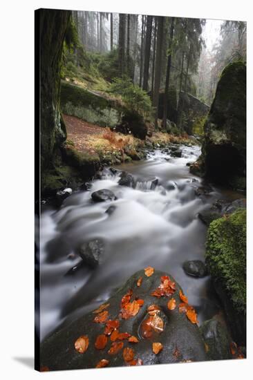 Krinice River Flowing Past Large Rocks in Forest, Kyov, Ceske Svycarsko, Czech Republic, November-Ruiz-Stretched Canvas