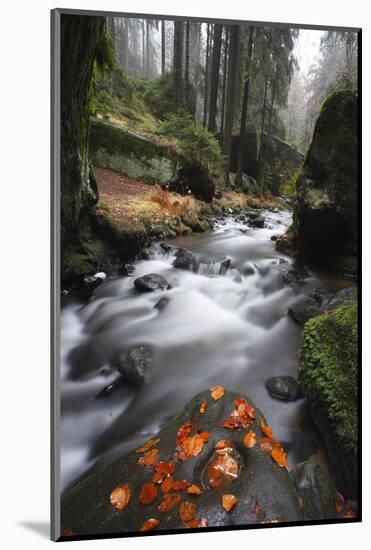 Krinice River Flowing Past Large Rocks in Forest, Kyov, Ceske Svycarsko, Czech Republic, November-Ruiz-Mounted Premium Photographic Print