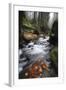 Krinice River Flowing Past Large Rocks in Forest, Kyov, Ceske Svycarsko, Czech Republic, November-Ruiz-Framed Photographic Print