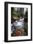 Krinice River Flowing Past Large Rocks in Forest, Kyov, Ceske Svycarsko, Czech Republic, November-Ruiz-Framed Photographic Print