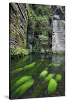 Krinice River Flowing Past Rock Faces, Dlouhy Dul, Bohemian Switzerland Np Czech Republic-Ruiz-Stretched Canvas