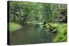 Krinice River Flowing Through Wood, Ceske Svycarsko - Bohemian Switzerland Np, Czech Republic-Ruiz-Stretched Canvas