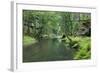 Krinice River Flowing Through Wood, Ceske Svycarsko - Bohemian Switzerland Np, Czech Republic-Ruiz-Framed Photographic Print