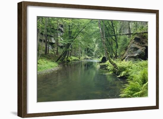 Krinice River Flowing Through Wood, Ceske Svycarsko - Bohemian Switzerland Np, Czech Republic-Ruiz-Framed Photographic Print