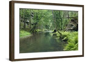 Krinice River Flowing Through Wood, Ceske Svycarsko - Bohemian Switzerland Np, Czech Republic-Ruiz-Framed Photographic Print