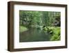 Krinice River Flowing Through Wood, Ceske Svycarsko - Bohemian Switzerland Np, Czech Republic-Ruiz-Framed Photographic Print