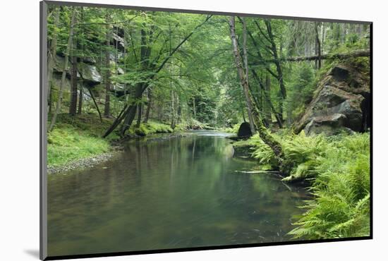 Krinice River Flowing Through Wood, Ceske Svycarsko - Bohemian Switzerland Np, Czech Republic-Ruiz-Mounted Photographic Print