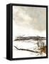 Framed Canvas