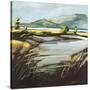 Stretched Canvas