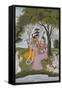 Krishna and Radha Making Music-null-Framed Stretched Canvas