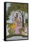 Krishna and Radha Making Music-null-Framed Stretched Canvas