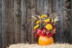 Pumpkin Flower Arrangement on Hay-krisrobin-Framed Photographic Print