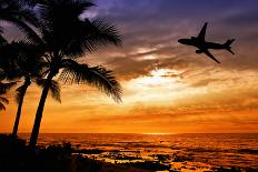 Sunset with Palm Tree and Airplane Silhouettes-krisrobin-Stretched Canvas