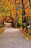 Winding Country Road In Autumn-krisrobin-Framed Photographic Print