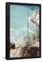 Essential Black